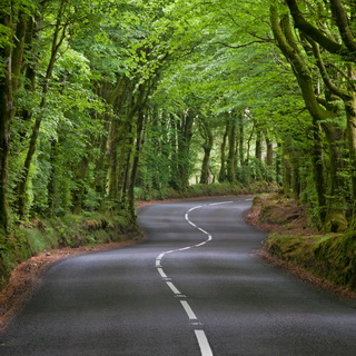 Exmoor - a long and winding road